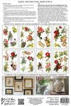 CATHARINA transfer by Iron Orchid Designs 12 x 8" (pad of 8 sheets) for furniture, crafts & décor