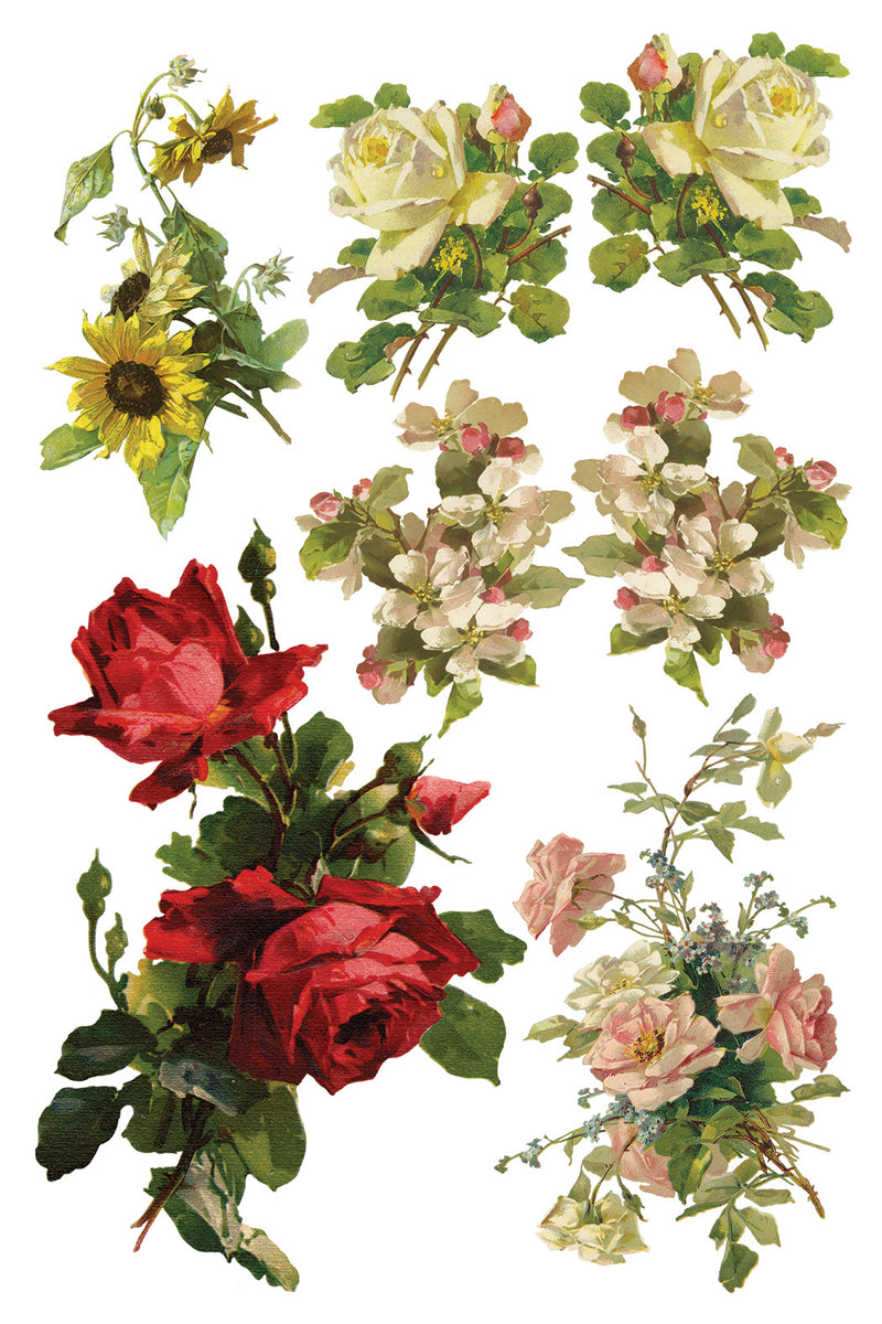 CATHARINA transfer by Iron Orchid Designs 12 x 8" (pad of 8 sheets) for furniture, crafts & décor