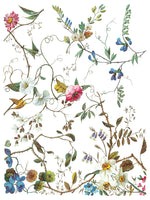 LOST GARDEN transfer by Iron Orchid Designs 12 x 16" (pad of 8 sheets) for furniture, crafts & decor