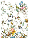 LOST GARDEN transfer by Iron Orchid Designs 12 x 16" (pad of 8 sheets) for furniture, crafts & decor