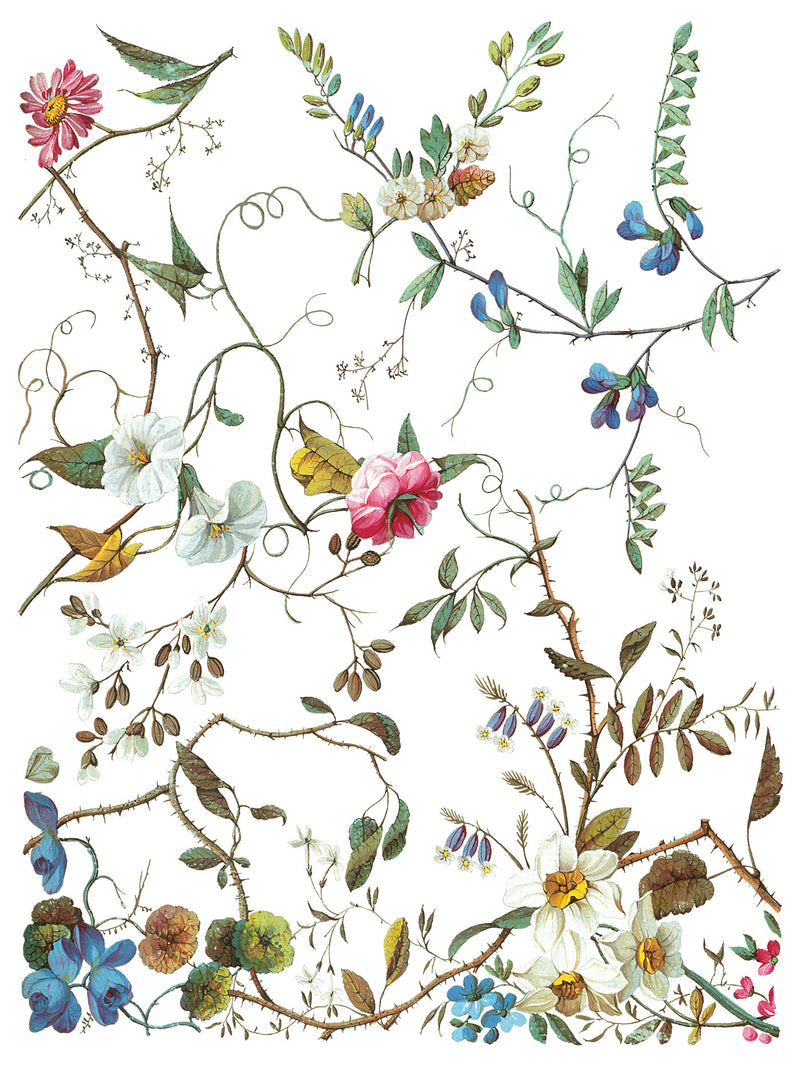 LOST GARDEN transfer by Iron Orchid Designs 12 x 16" (pad of 8 sheets) for furniture, crafts & decor