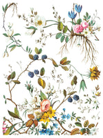 LOST GARDEN transfer by Iron Orchid Designs 12 x 16" (pad of 8 sheets) for furniture, crafts & decor