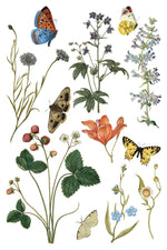 WILDE BLOEMEN transfer by Iron Orchid Designs 12 x 8" (pad of 8 sheets) for furniture, crafts & décor