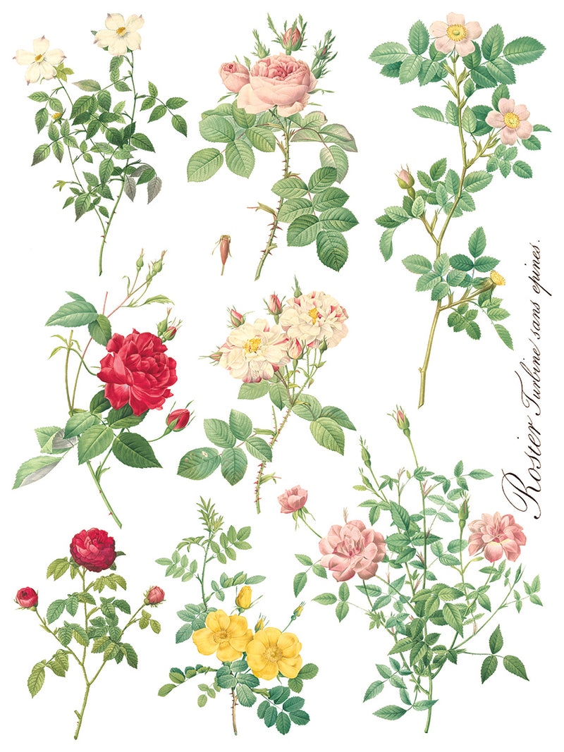 ROSE BOTANICAL IOD TRANSFER 12X16 PAD by Iron Orchid Designs (8 sheets) for furniture, crafts and decor