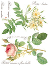 ROSE BOTANICAL IOD TRANSFER 12X16 PAD by Iron Orchid Designs (8 sheets) for furniture, crafts and decor