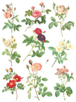 ROSE BOTANICAL IOD TRANSFER 12X16 PAD by Iron Orchid Designs (8 sheets) for furniture, crafts and decor